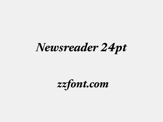 Newsreader 24pt