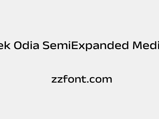 Anek Odia SemiExpanded Medium