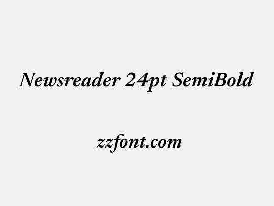 Newsreader 24pt SemiBold