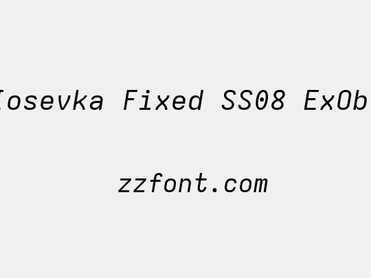 Iosevka Fixed SS08 ExObl