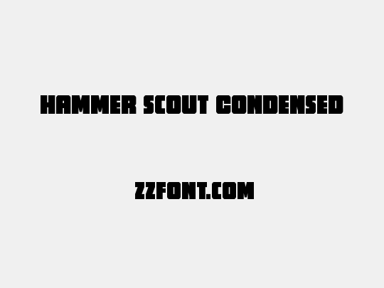 Hammer Scout Condensed