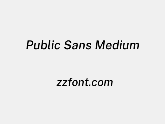 Public Sans Medium