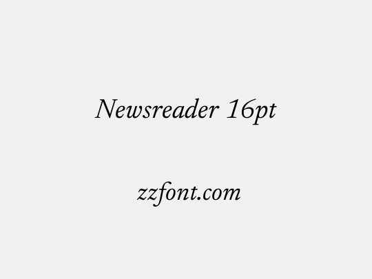 Newsreader 16pt