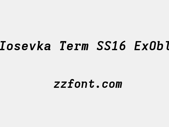 Iosevka Term SS16 ExObl