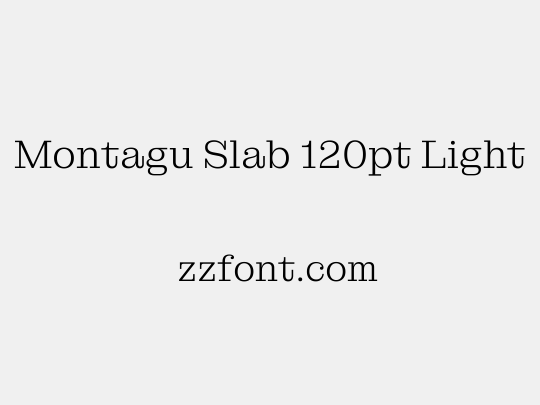 Montagu Slab 120pt Light