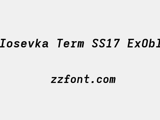 Iosevka Term SS17 ExObl