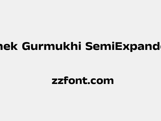 Anek Gurmukhi SemiExpanded