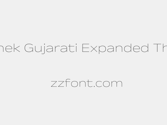 Anek Gujarati Expanded Thin