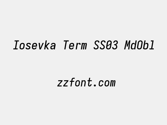 Iosevka Term SS03 MdObl