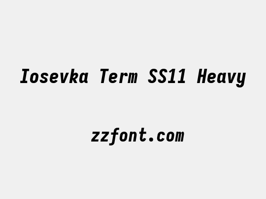 Iosevka Term SS11 Heavy