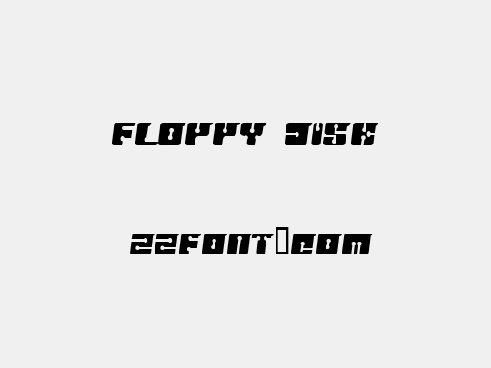 FLOPPY DISK