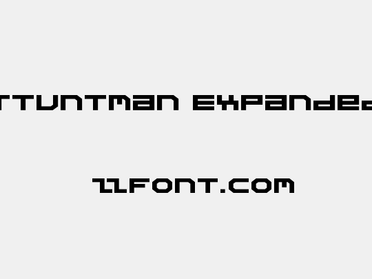 Stuntman Expanded