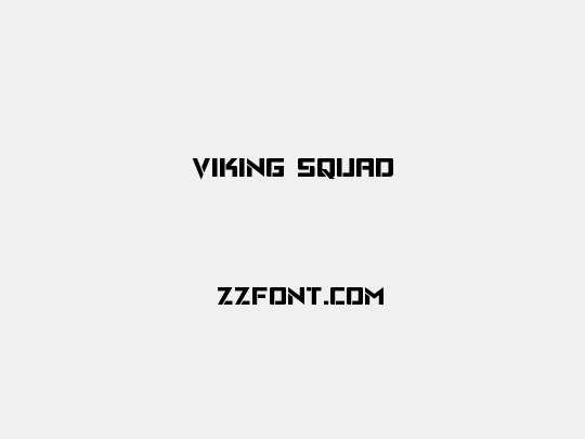 Viking Squad