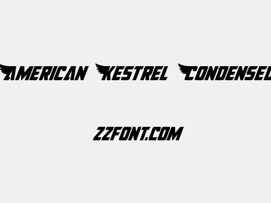 American Kestrel Condensed