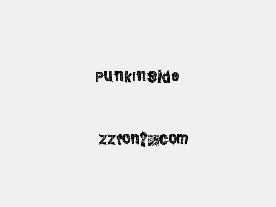 PunkInside