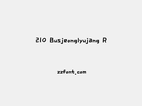 210 Busjeonglyujang R