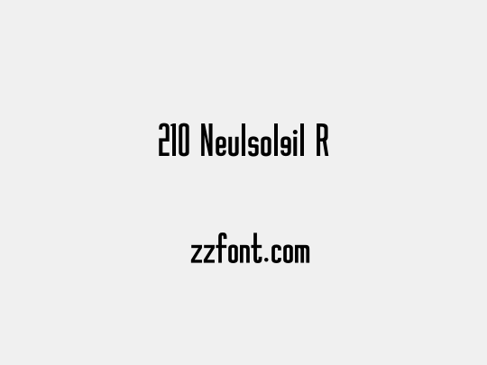 210 Neulsolgil R