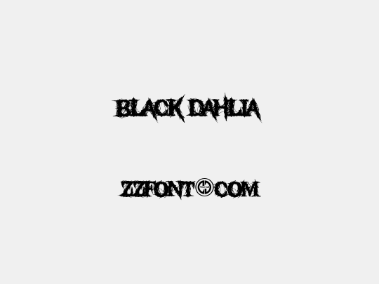 Black Dahlia