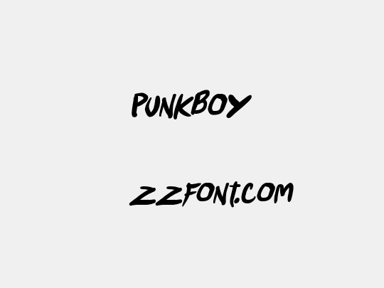 Punkboy