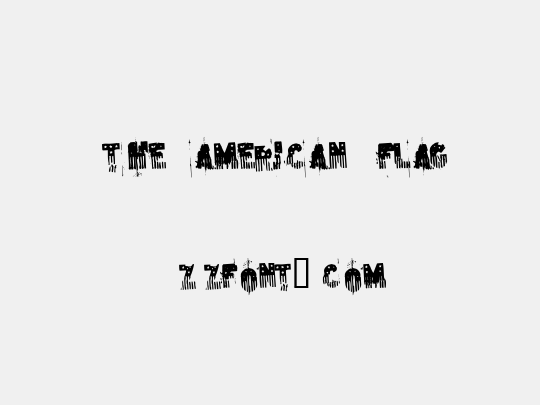 the american flag