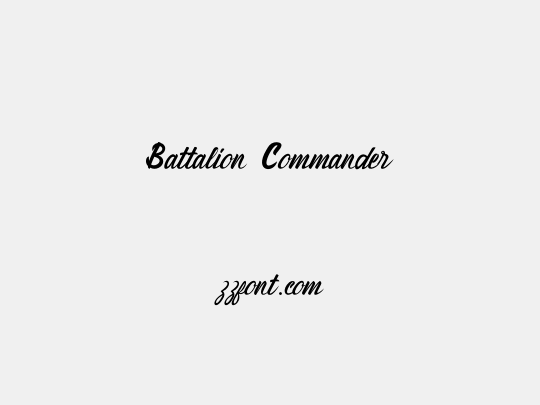 Battalion Commander