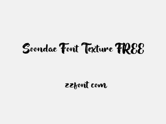 Soondae Font Texture FREE