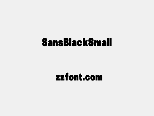 SansBlackSmall