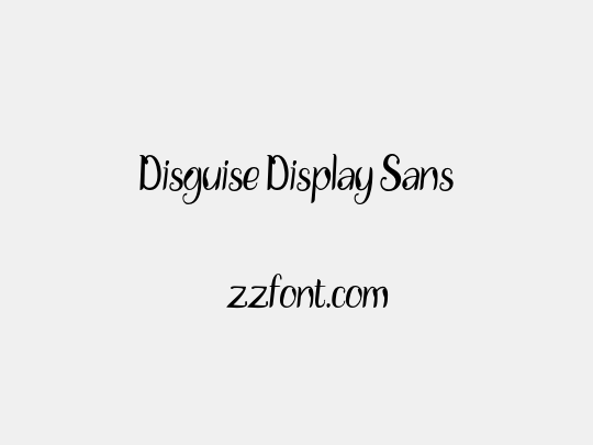 Disguise Display Sans