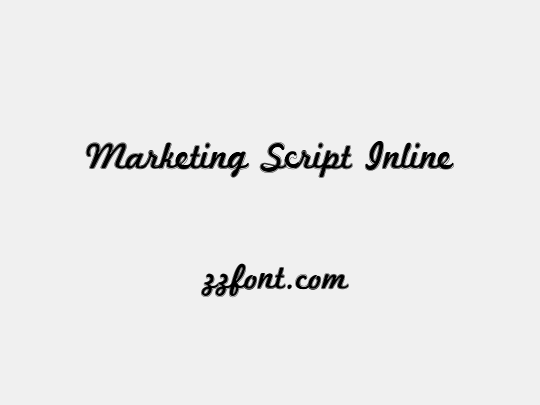 Marketing Script Inline