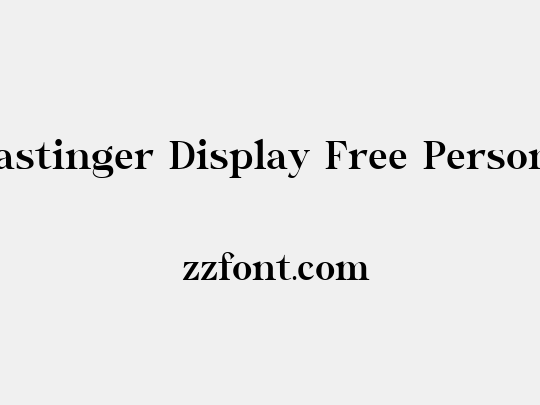 Wastinger Display Free Personal