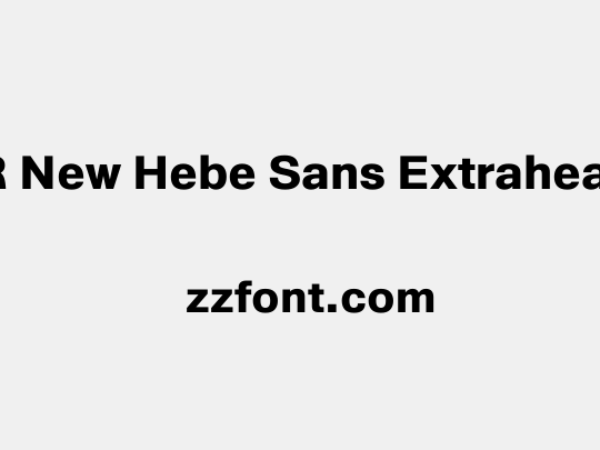 AR New Hebe Sans Extraheavy