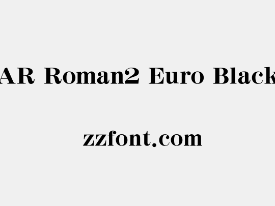 AR Roman2 Euro Black