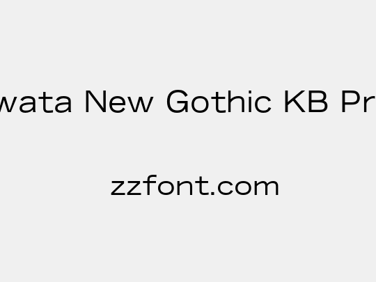 Iwata New Gothic KB Pro