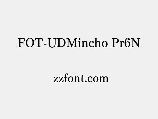 FOT-UDMincho Pr6N