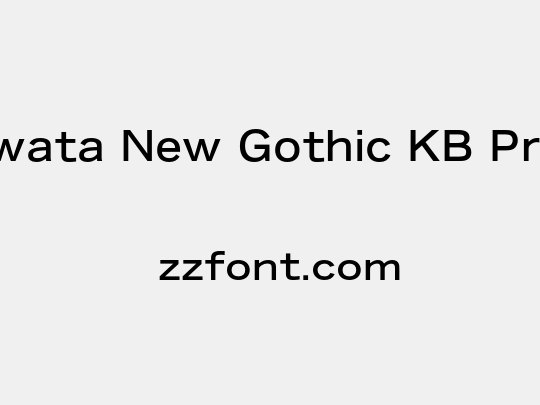 Iwata New Gothic KB Pro