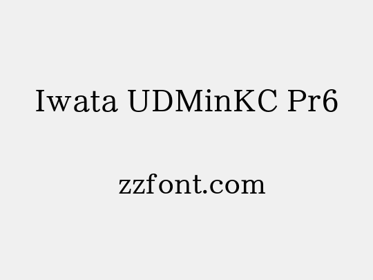 Iwata UDMinKC Pr6