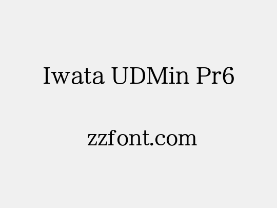 Iwata UDMin Pr6