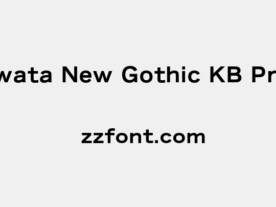 Iwata New Gothic KB Pro