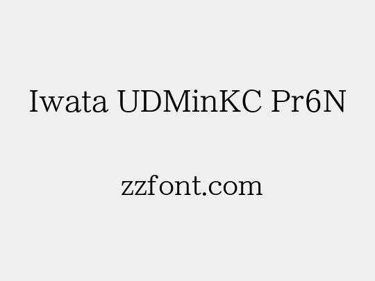 Iwata UDMinKC Pr6N